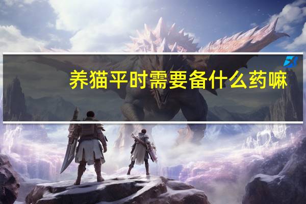 养猫平时需要备什么药嘛