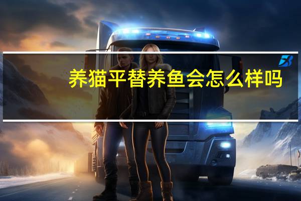 养猫平替养鱼会怎么样吗