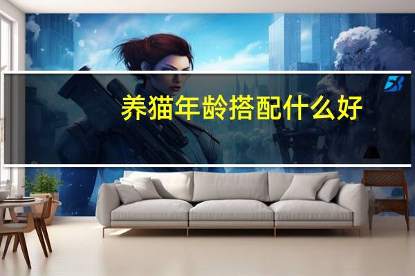 养猫年龄搭配什么好