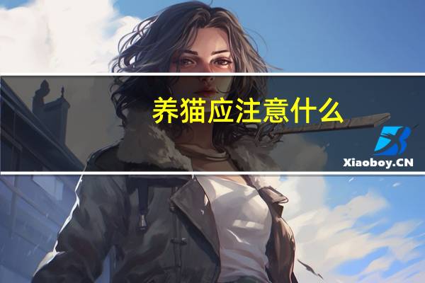 养猫应注意什么