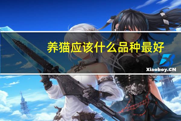 养猫应该什么品种最好