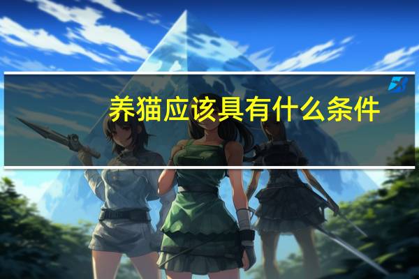 养猫应该具有什么条件