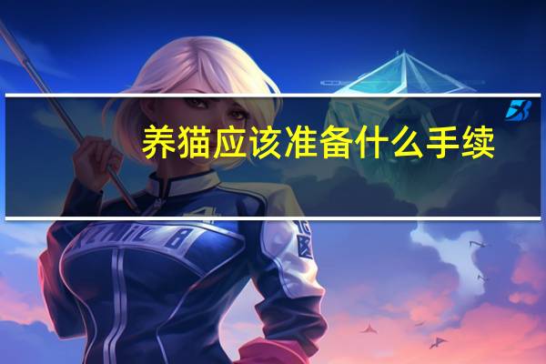 养猫应该准备什么手续