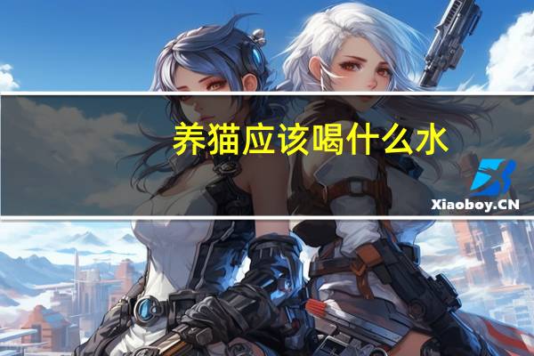 养猫应该喝什么水