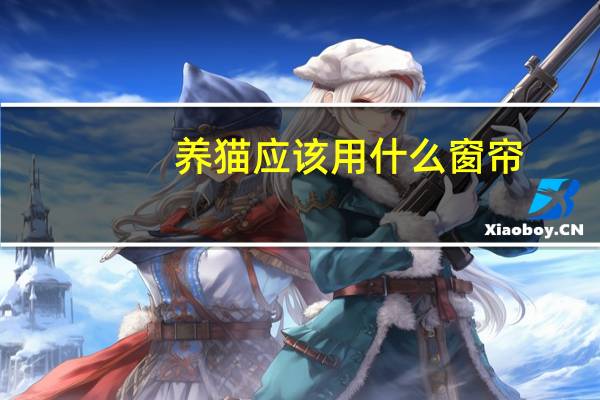 养猫应该用什么窗帘