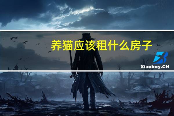 养猫应该租什么房子
