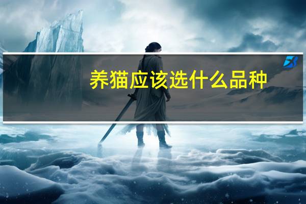 养猫应该选什么品种