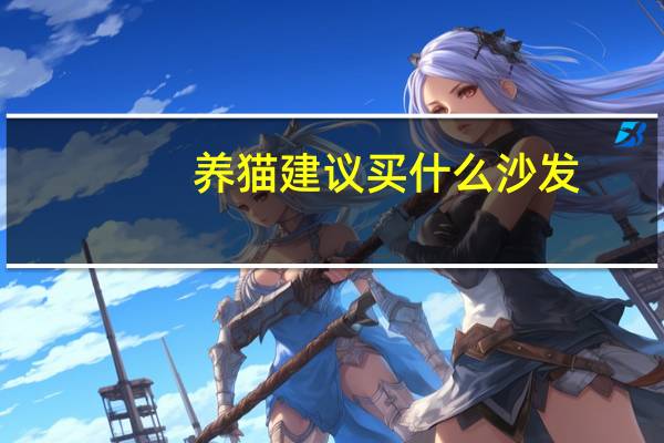 养猫建议买什么沙发