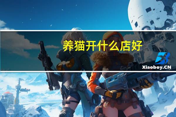 养猫开什么店好