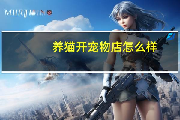 养猫开宠物店怎么样