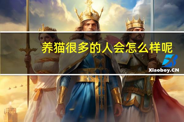养猫很多的人会怎么样呢