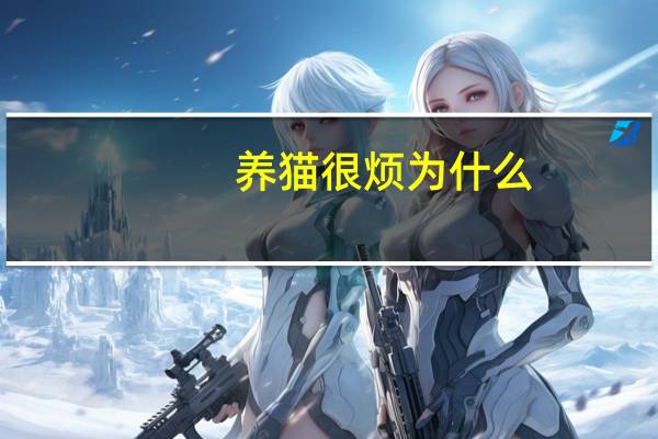 养猫很烦为什么