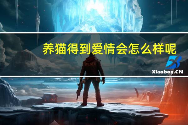 养猫得到爱情会怎么样呢