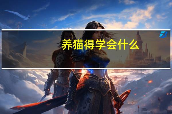 养猫得学会什么