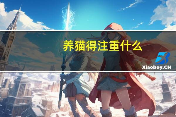 养猫得注重什么