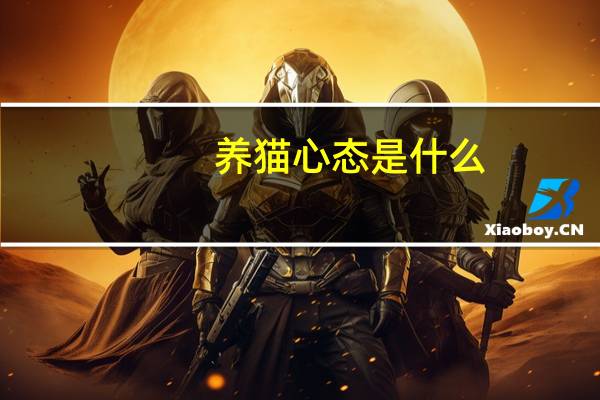 养猫心态是什么