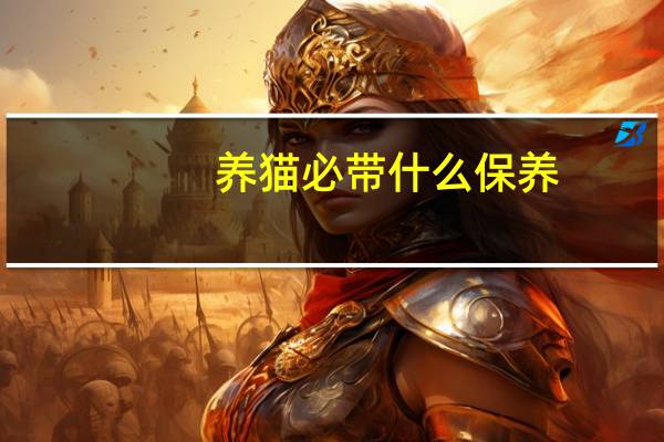 养猫必带什么保养