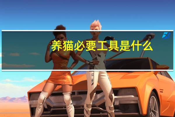 养猫必要工具是什么