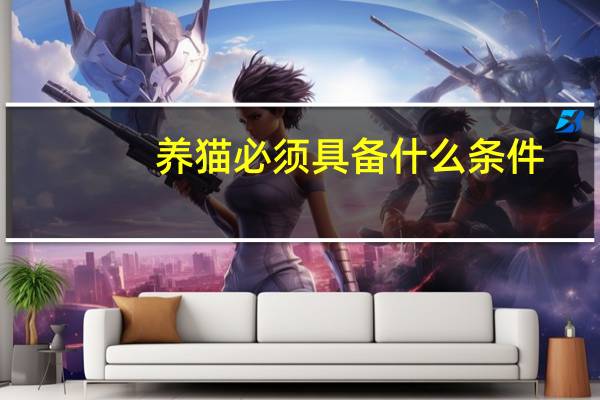 养猫必须具备什么条件