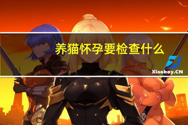 养猫怀孕要检查什么