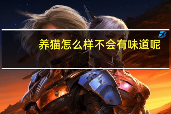 养猫怎么样不会有味道呢