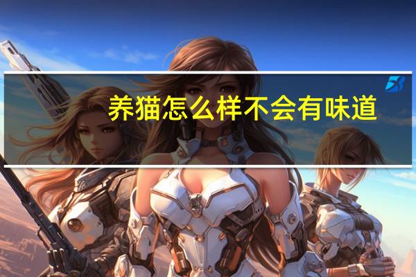 养猫怎么样不会有味道