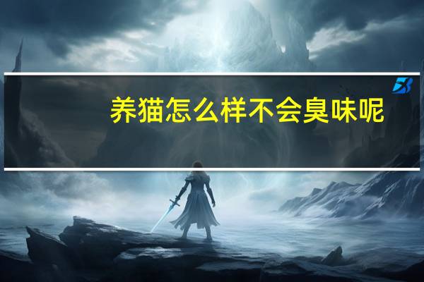 养猫怎么样不会臭味呢