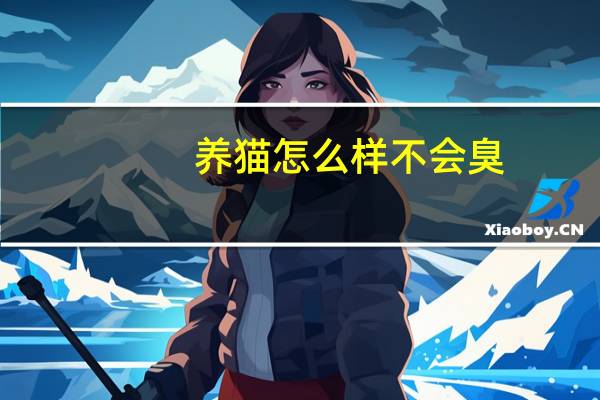 养猫怎么样不会臭