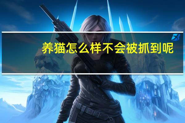 养猫怎么样不会被抓到呢