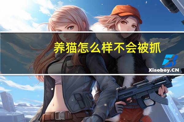 养猫怎么样不会被抓