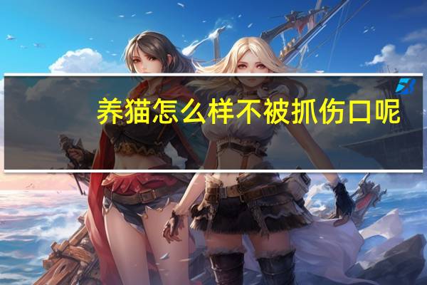 养猫怎么样不被抓伤口呢