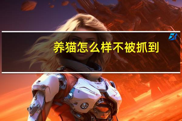 养猫怎么样不被抓到