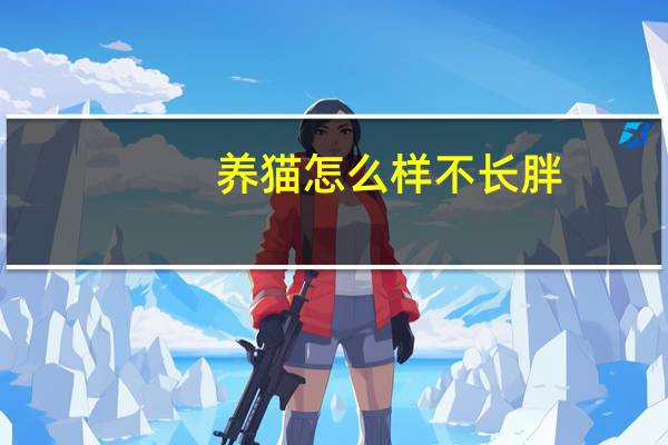 养猫怎么样不长胖