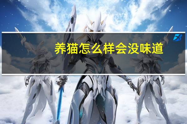 养猫怎么样会没味道