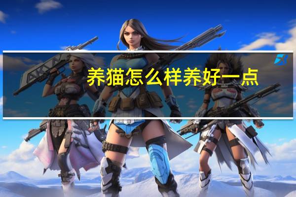 养猫怎么样养好一点