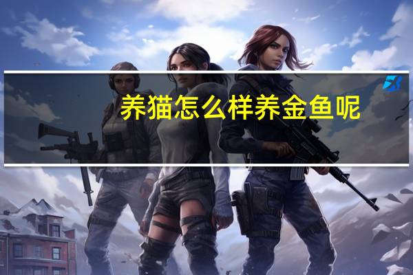 养猫怎么样养金鱼呢