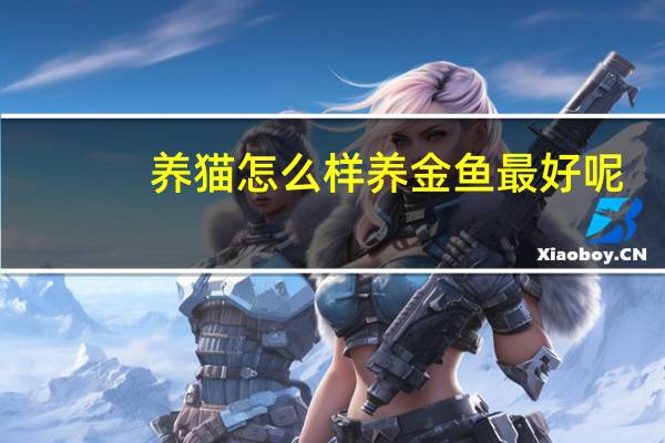 养猫怎么样养金鱼最好呢