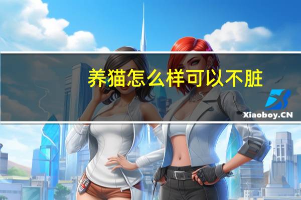 养猫怎么样可以不脏