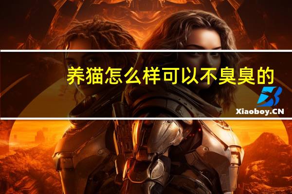 养猫怎么样可以不臭臭的