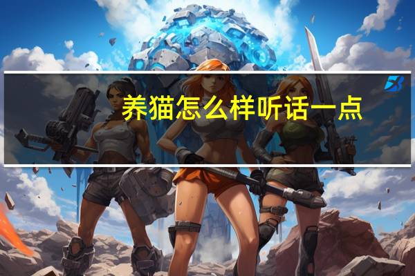 养猫怎么样听话一点