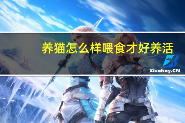 养猫怎么样喂食才好养活
