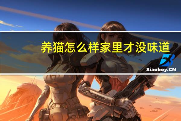 养猫怎么样家里才没味道