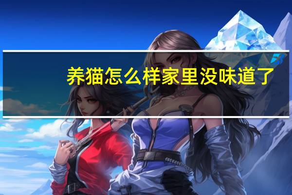 养猫怎么样家里没味道了