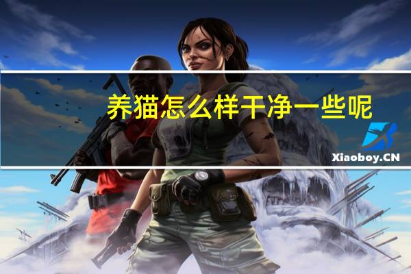 养猫怎么样干净一些呢