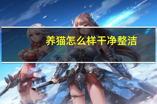养猫怎么样干净整洁