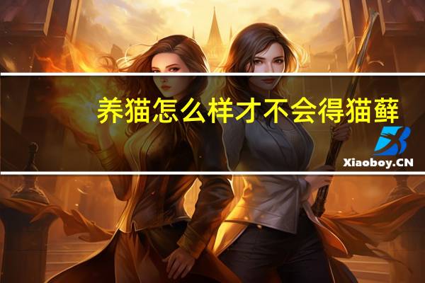 养猫怎么样才不会得猫藓
