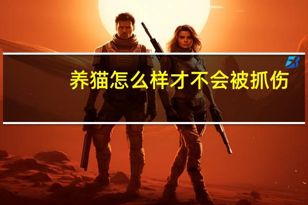 养猫怎么样才不会被抓伤