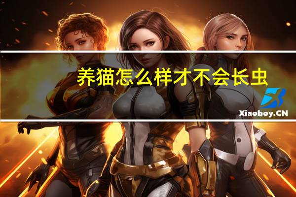 养猫怎么样才不会长虫
