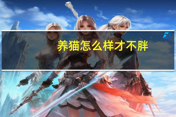养猫怎么样才不胖