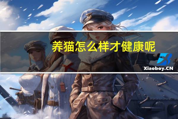 养猫怎么样才健康呢